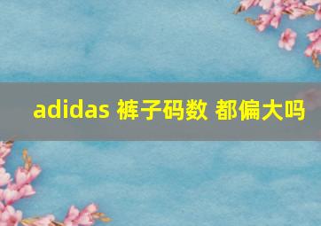 adidas 裤子码数 都偏大吗